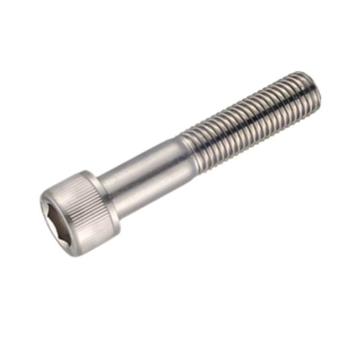 Bulong luc giac chim dau tru inox 316 ren lung