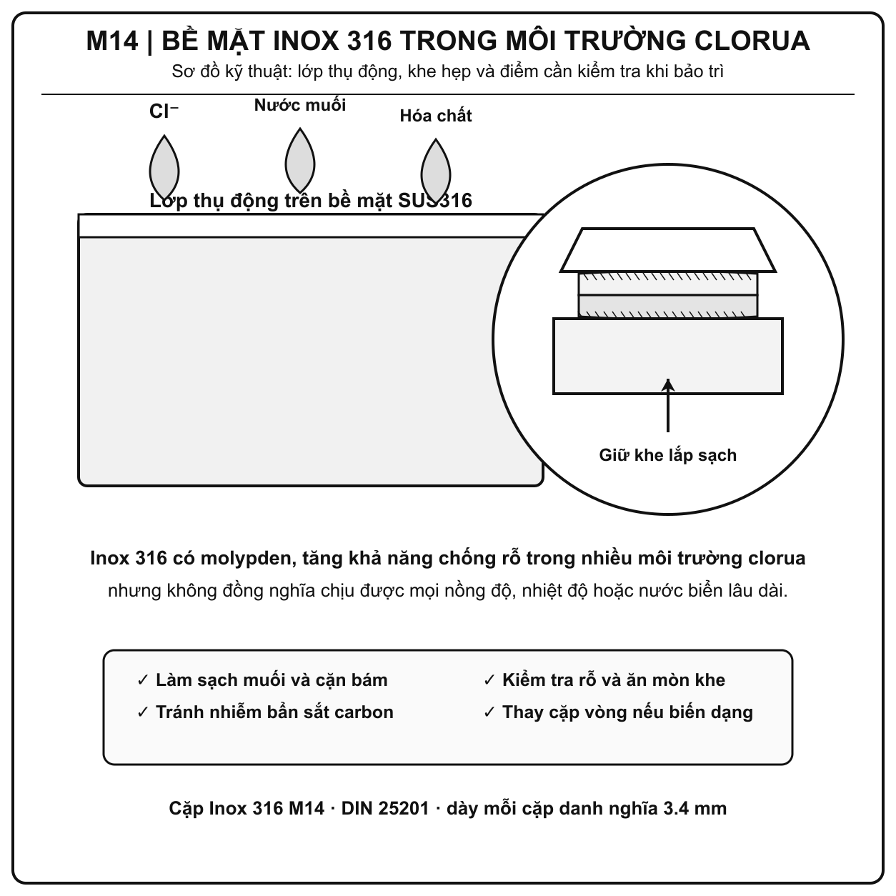 Phân tích ma sát bề mặt và vật liệu SUS316 của long đền chống xoay Inox 316 M14