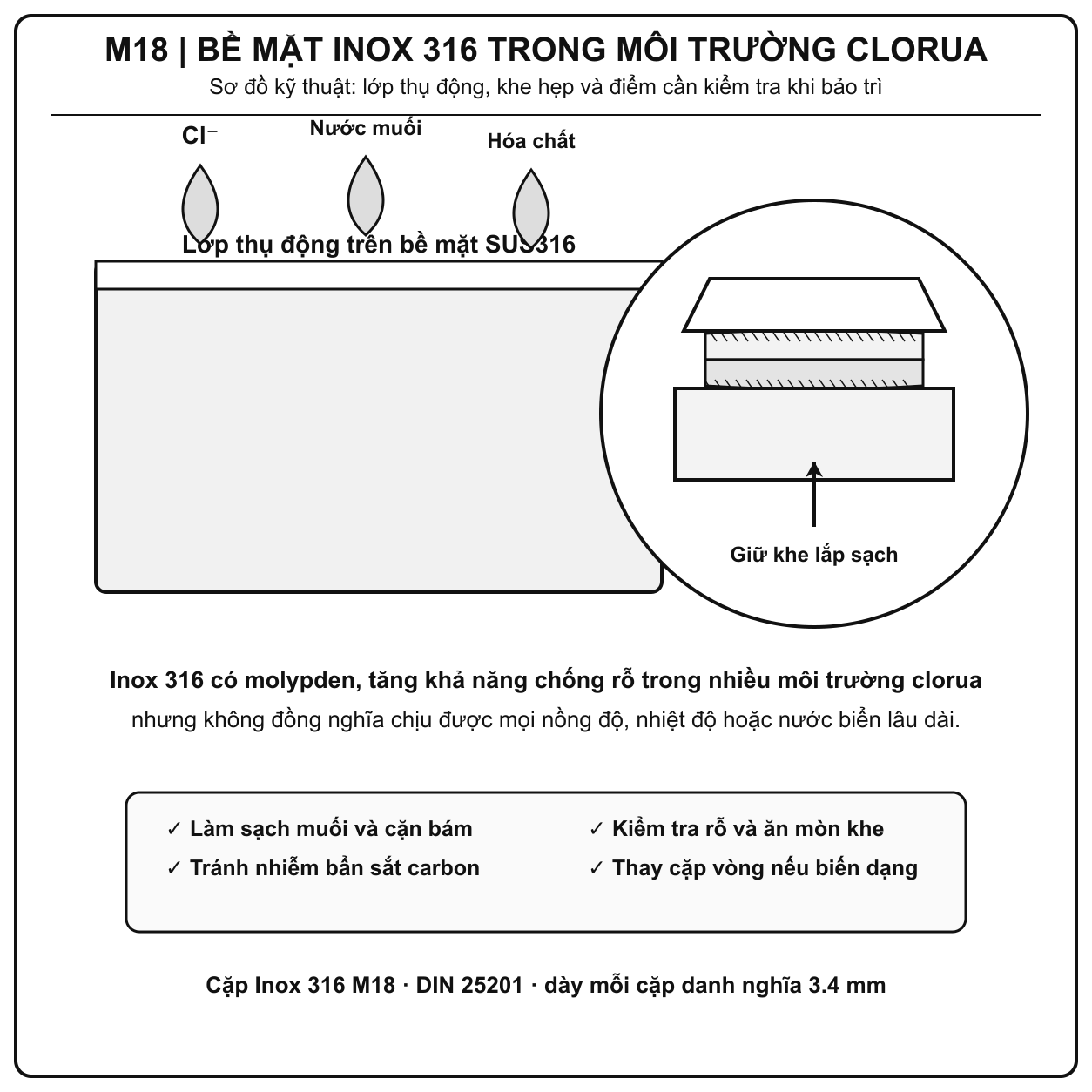 Phân tích ma sát bề mặt và vật liệu SUS316 của long đền chống xoay Inox 316 M18