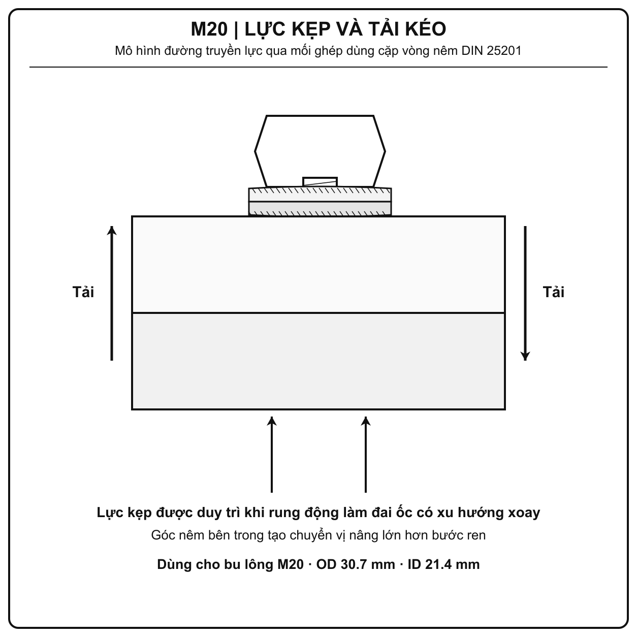 Mô phỏng tải kéo và lực kẹp của long đền chống xoay Inox 316 M20