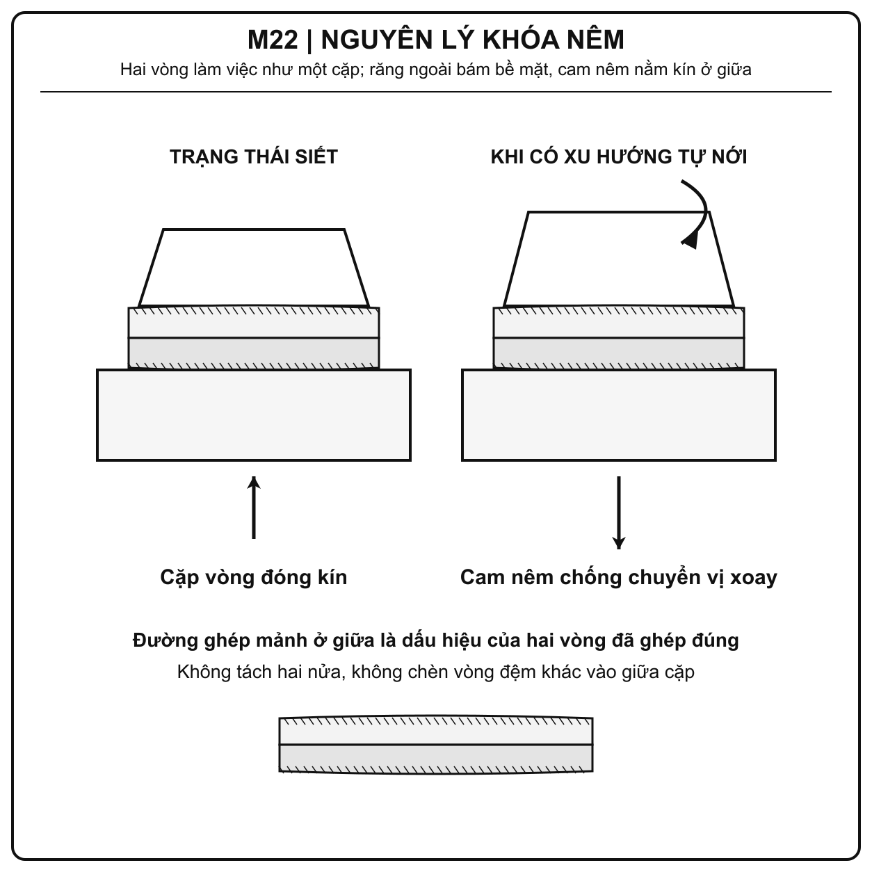 Nguyên lý cam nêm chống tự nới của long đền chống xoay Inox 316 M22