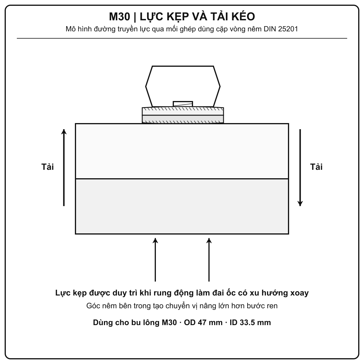 Mô phỏng tải kéo và lực kẹp của long đền chống xoay Inox 316 M30