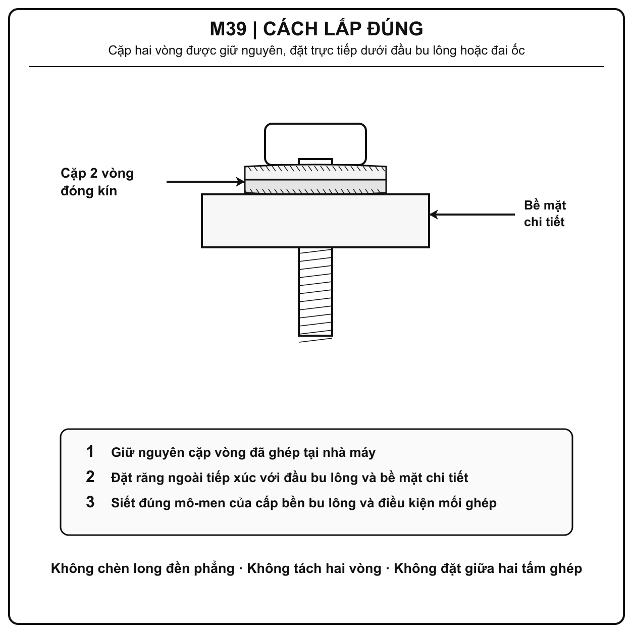 Cách lắp long đền chống xoay Inox 316 M39 đúng chiều dưới đầu bu lông