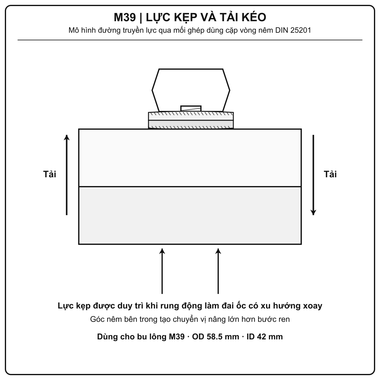 Mô phỏng tải kéo và lực kẹp của long đền chống xoay Inox 316 M39