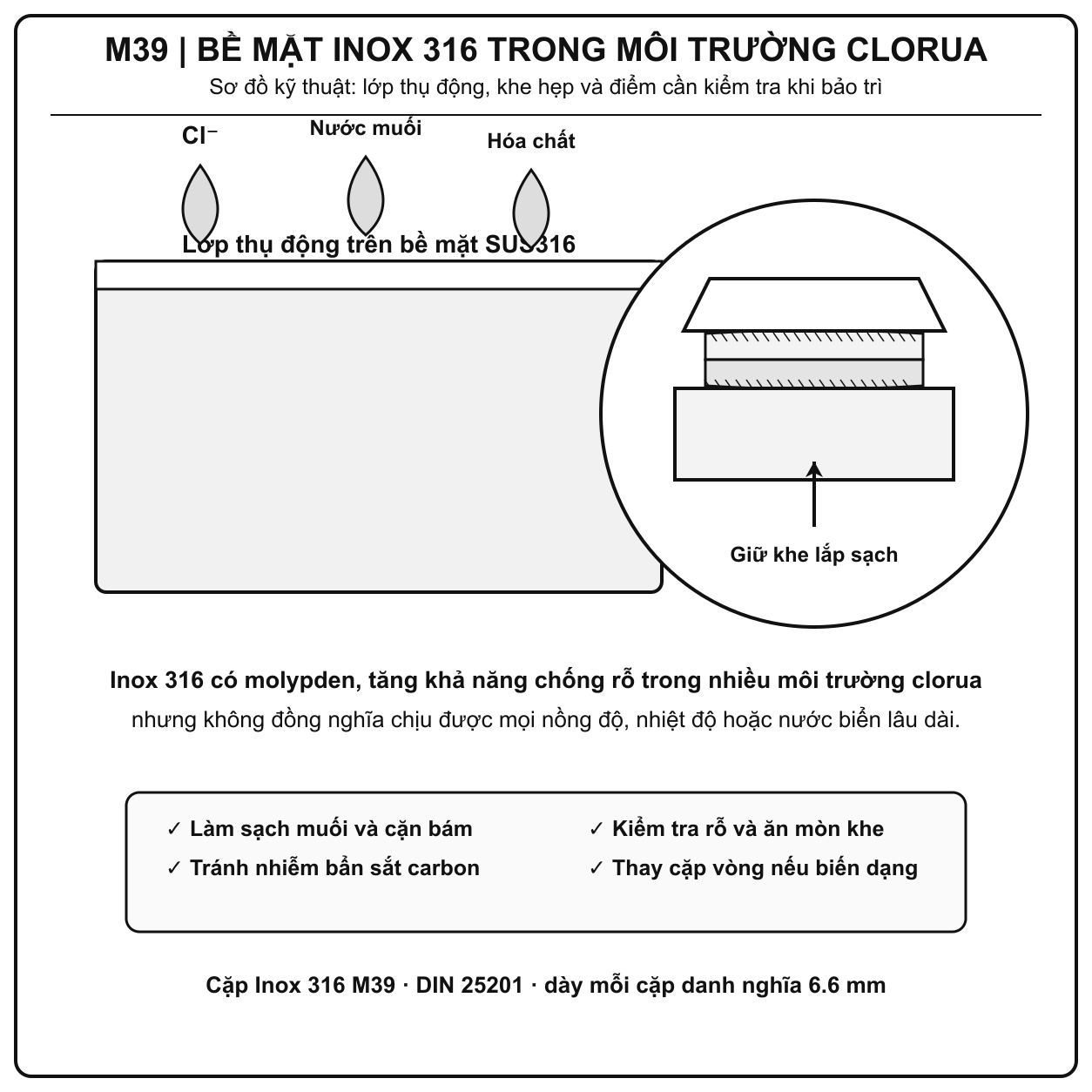 Phân tích ma sát bề mặt và vật liệu SUS316 của long đền chống xoay Inox 316 M39