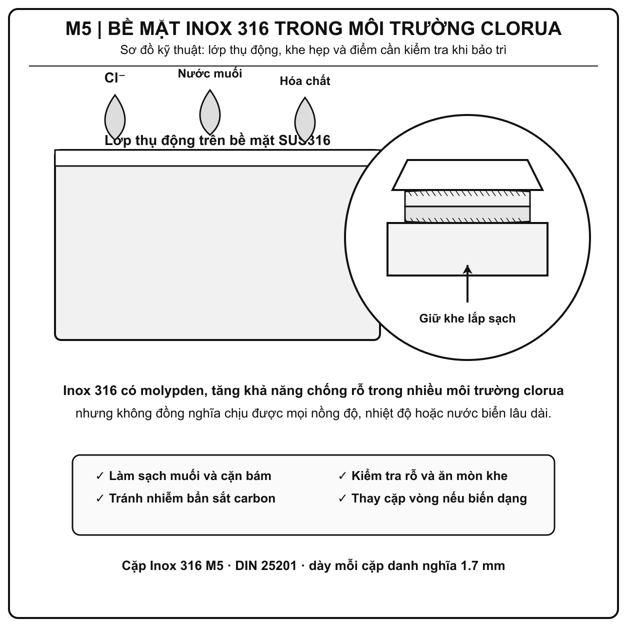 Kiểm soát rung bằng long đền chống xoay Inox 316 M5 tại cửa che máy đóng gói thủy sản